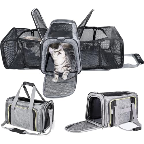 RUYICZB Transporttasche Für Katzen Und Hunde, Erweiterbare Transportbox Katze,Hund Faltbare Katzentransportbox Mit Atmungsaktiven Netzfenster Für Kleinen Hund Welpen Katze RUYICZB Transporttasche Für Katzen Und Hunde, Erweiterbare Transportbox Katze,Hund Faltbare Katzentransportbox Mit Atmungsaktiven Netzfenster Für Kleinen Hund Welpen Katze von RUYICZB