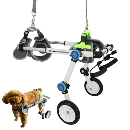 RUYICZB Verstellbarer Hundewagen/Rollstuhl, Klappbarer Hunderollstuhl Für Hinterbeine, Haustier Rollstuhl Für Behinderte Hinterbeine, Haustier Spaziergang Rehabilitations Hilfswagen,L RUYICZB Verstellbarer Hundewagen/Rollstuhl, Klappbarer Hunderollstuhl Für Hinterbeine, Haustier Rollstuhl Für Behinderte Hinterbeine, Haustier Spaziergang Rehabilitations Hilfswagen,L von RUYICZB