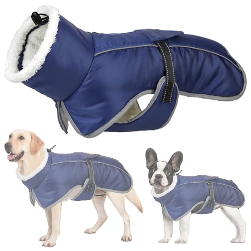 RUYICZB Wasserdichter Hundemantel, Winter Warme Hundejacke Hundebekleidung Für Kleine Mittel Große Hunde Hundepullover Mit Sicheren Reflexstreifen Für Labrador Chihuahua,Blau,3XL von RUYICZB