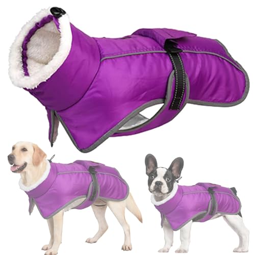 RUYICZB Wasserdichter Hundemantel, Winter Warme Hundejacke Hundebekleidung Für Kleine Mittel Große Hunde Hundepullover Mit Sicheren Reflexstreifen Für Labrador Chihuahua,Lila,L von RUYICZB