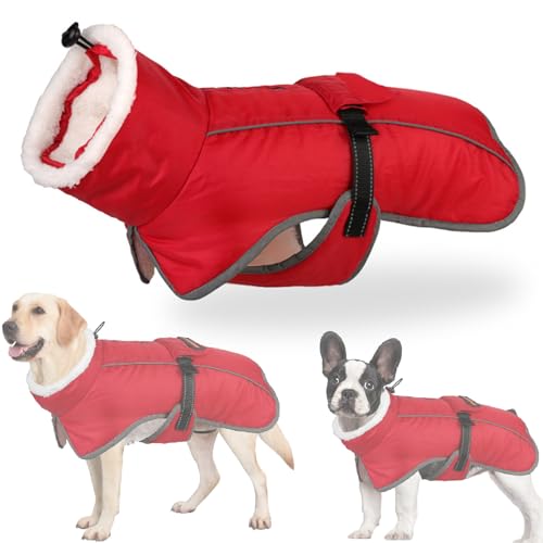 RUYICZB Wasserdichter Hundemantel, Winter Warme Hundejacke Hundebekleidung Für Kleine Mittel Große Hunde Hundepullover Mit Sicheren Reflexstreifen Für Labrador Chihuahua,Rot,S von RUYICZB