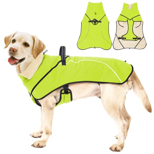 RUYICZB Wasserdichter Hundemantel Hunde Winterjacke, Winter Warme Fleece Hundejacke, Hundebekleidung Outfit Mit Sicheren Reflexstreifen Für Kleine Mittelere Und Große Hunde,Grün,L von RUYICZB