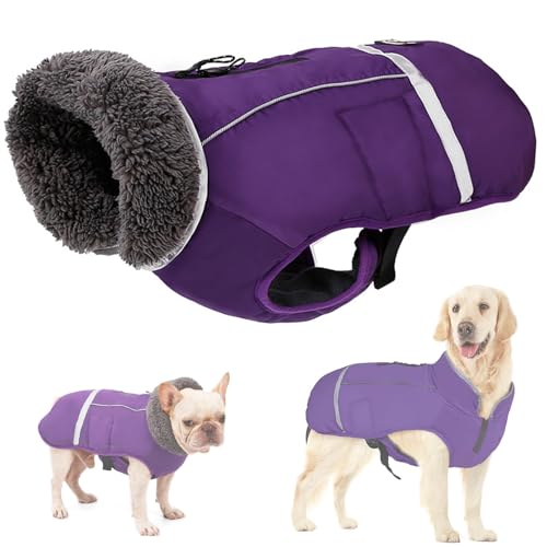 RUYICZB Wasserdichter Winddichter Hundemantel Für Kaltes Wetter, Warme Hundekleidung Hunde Winterweste Jacken Mit Fleece Gefütterte Reflektierend Für Kleine Mittlere Große Hunde,Lila,3XL von RUYICZB