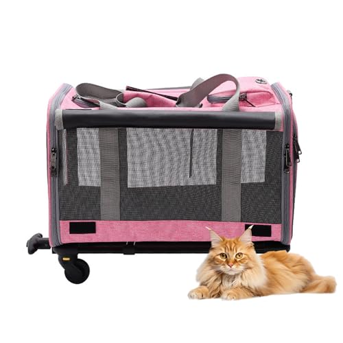 RUYICZB Transportbox für Haustiere mit Rädern, Transportbox für Katzen mit weichem, atmungsaktivem Netzgewebe und verschließbaren Reißverschlüssen,Rosa RUYICZB Transportbox für Haustiere mit Rädern, Transportbox für Katzen mit weichem, atmungsaktivem Netzgewebe und verschließbaren Reißverschlüssen,Rosa von RUYICZB
