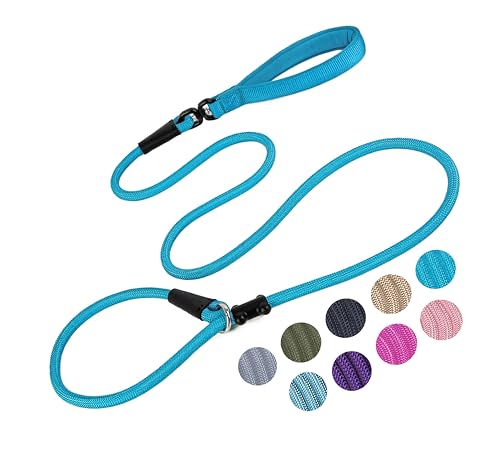 Retrieverleine, Hundeleine, starkes Nylonseil, Anti-Ersticken, Anti-Ziehen, Trainingsleine für kleine, mittelgroße und große Hunde, Blau, 1,27 cm x 1,8 m von RWPQNG