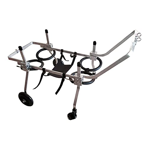 RXBD Verstellbarer Hunde-Rollstuhl, 4-Rad-Vollpapier-PET-Hündchen Rehabilitation Leichter Aluminiumwagen, freies Bauchband für den Rückenschutz (Size : M for 10-20kg) von RXBD