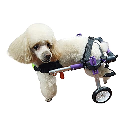 Verstellbarer Hunderollstuhl, Haustier Hinterbeine Rehabilitation Rollstuhl, für behinderte kleine Hunde/Hunde/Welpen,2 Räder (Size : S Within 20 kg) von RXBD