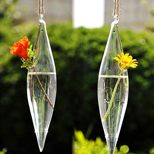 RXMORI 2pcs Hängende Glas Blume Pflanzer, Air Farn Halter Terrarium Pflanzen Aufhänger Vase, Terrarium Container Home Garden Decor Glasflasche von RXMORI