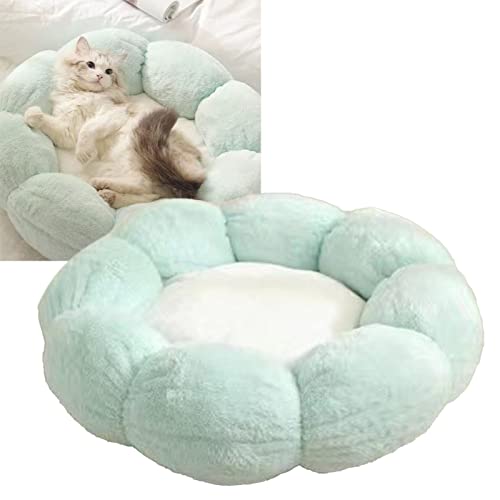RXMORI Haustierbett, niedliche runde Blumenform, Plüsch-Haustierbett, warm, beruhigend, runde Blumenform, Katzen- und Hundebett, weich, bequem, warm, verdickt, Durchmesser 55 cm, 9 kg, Hellgrün, Weiß RXMORI Haustierbett, niedliche runde Blumenform, Plüsch-Haustierbett, warm, beruhigend, runde Blumenform, Katzen- und Hundebett, weich, bequem, warm, verdickt, Durchmesser 55 cm, 9 kg, Hellgrün, Weiß von RXMORI