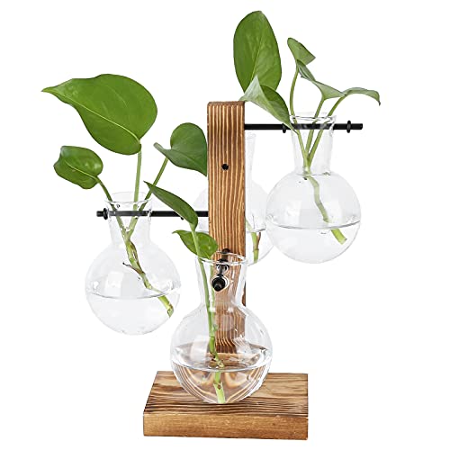 RXMORI Pflanzenterrarium mit Holzständer, Innovative Hydrokulturvase Desktop Air Plant Terrarium, Glas Pflanzgefäß Birnenvase, Transparente Desktop Blumenvase für Wohnkultur von RXMORI