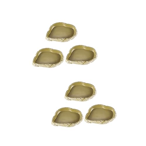 Wassernapf for Reptilien, Futternapf for Würmer, groß, Fütterung von 6 Schildkröten und Reptilien von RYRYR