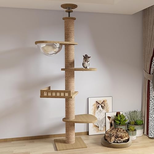 Boden bis zur Decke Kratzbaum, hölzerne große Katze Baum Dichte Board Katze Klettergerüst für Indoor-Katzen (A) von Rablue