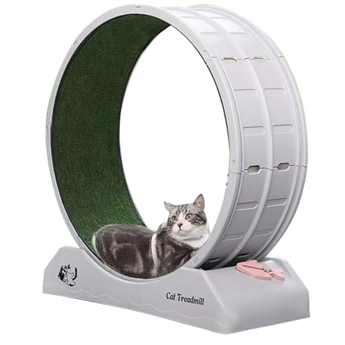 Katzenrad für Indoor-Übungen, leises Laufband, Haustier-Fitness-Kratzbrett Katzenrad für Indoor-Übungen, leises Laufband, Haustier-Fitness-Kratzbrett von Rablue