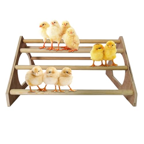Hühnermittler mit 7 Bars Holz 14, 6 x 10, 8 x 7, 8 Zoll Hähnchen -Schlafstangen mit Seitenlöchern freistehende Roost Coop Accessoires Hühnermittler mit 7 Bars Holz 14, 6 x 10, 8 x 7, 8 Zoll Hähnchen -Schlafstangen mit Seitenlöchern freistehende Roost Coop Accessoires von Rachlicy