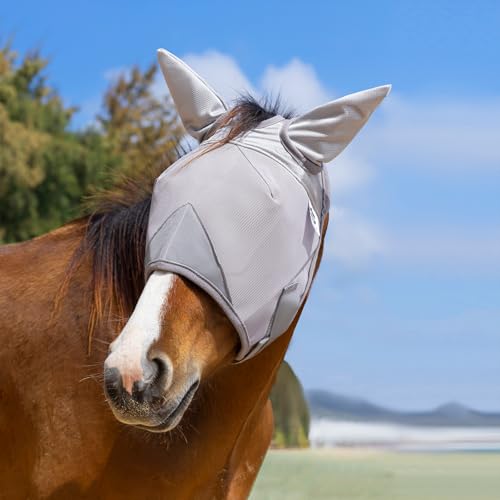 Raelitego Fliegenmaske für Pferde, verstellbare Fliegenmasken für Pferde mit Ohren, UV-Schutz vor Insektenschädlingen, Komfort-Netz ohne Nase, durchschnittliche Größe, Pferdezubehör (extra klein) Raelitego Fliegenmaske für Pferde, verstellbare Fliegenmasken für Pferde mit Ohren, UV-Schutz vor Insektenschädlingen, Komfort-Netz ohne Nase, durchschnittliche Größe, Pferdezubehör (extra klein) von Raelitego
