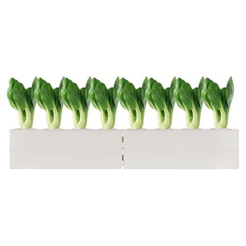 Hydroponisches Wachstums-Kit, Hydroponische Pflanzung Ausrüstung mit Wasserpumpe, Hydroponisches Anbausystem Hydroponisches Wachstums-Kit, Hydroponische Pflanzung Ausrüstung mit Wasserpumpe, Hydroponisches Anbausystem von RainWeel