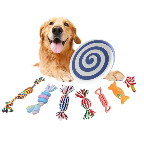 Rainbow-K9 Kauspielzeug für kleine und mittelgroße Hunde, niedliches Plüsch-Quietschspielzeug für Welpen, Kauspielzeug mit Seilspielzeug, Leckerli-Ball zum Zahnen, 8 Stück von Rainbow-K9