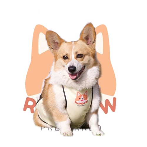 RainbowPreferred wasserdichter Bauchschutz für Hunde, Regenmantel, Regenjacke, Bauchband, Genesungsanzug, Schürze für Hundekleidung, Kostüm RainbowPreferred wasserdichter Bauchschutz für Hunde, Regenmantel, Regenjacke, Bauchband, Genesungsanzug, Schürze für Hundekleidung, Kostüm von Rainbow Preferred