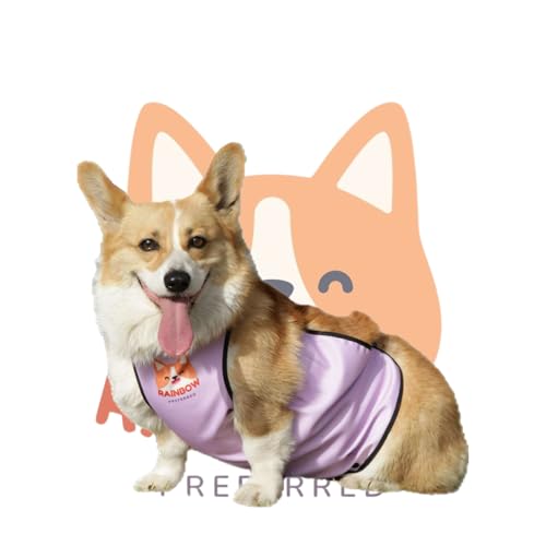 RainbowPreferred wasserdichter Bauchschutz für Hunde, Regenmantel, Regenjacke, Bauchband, Genesungsanzug, Schürze für Hundekleidung, Kostüm RainbowPreferred wasserdichter Bauchschutz für Hunde, Regenmantel, Regenjacke, Bauchband, Genesungsanzug, Schürze für Hundekleidung, Kostüm von Rainbow Preferred