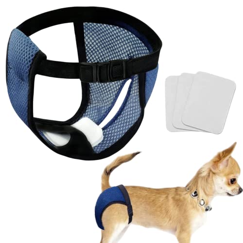Wiederverwendbare Windeln für jedes Haustier mit 3 Ersatzwindeln, atmungsaktives Netzgewebe, waschbare Hunde-Sanitär-Pads, Menstruationswindeln, mittelgroße und große Hunde (1xblau, mittelgroß) von Rainify