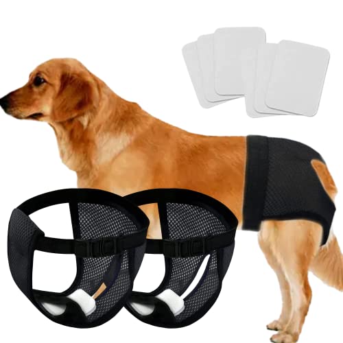 Wiederverwendbare Windeln für jedes Haustier mit 3 Ersatzwindeln, atmungsaktives Netzgewebe, waschbare Hunde-Sanitär-Pads, Menstruationswindeln, mittelgroße und große Hunde (2 Stück schwarz, mittel) von Rainify