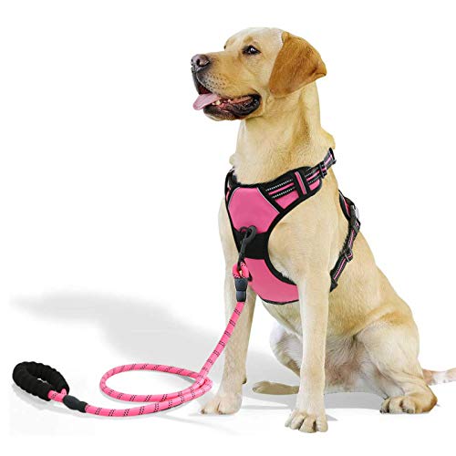 Raining Pet Hundegeschirr für Große Hunde Anti Zug Geschirr No Pull Sicherheitsgeschirr Rosa L Raining Pet Hundegeschirr für Große Hunde Anti Zug Geschirr No Pull Sicherheitsgeschirr Rosa L von Raining Pet