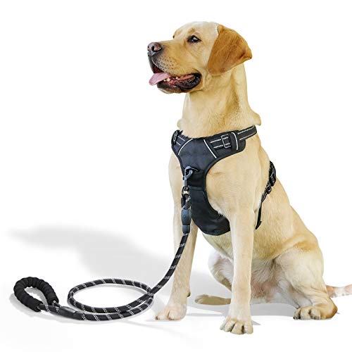 Raining Pet Hundegeschirr Hunde Geschirr für Große Hunde Anti Zug Geschirr No Pull Sicherheitsgeschirr Kleine Mittlere Hunde Brustgeschirr Schwarz L Raining Pet Hundegeschirr Hunde Geschirr für Große Hunde Anti Zug Geschirr No Pull Sicherheitsgeschirr Kleine Mittlere Hunde Brustgeschirr Schwarz L von Raining Pet