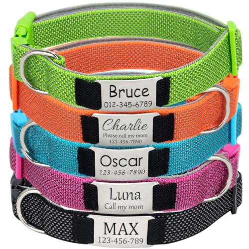 Hundehalsband Personalisiert mit Namen - Hundemarke mit Gravur, Reflektierend Gepolstertes Halsband Hund Verstellbar für Kleine/Mittlere/Große Hunde von Rainsar
