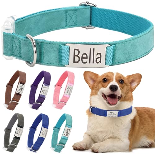 Klassische Hundehalsband Personalisiert Kleine Mittelgroße Große Katzen - Mit Namen Telefonnummer Sichere Dog Collar(Grün,L) von Rainsar