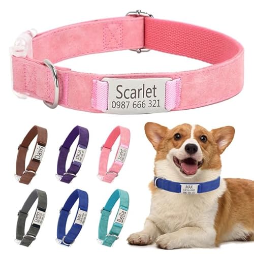 Klassische Hundehalsband Personalisiert Kleine Mittelgroße Große Katzen - Mit Namen Telefonnummer Sichere Dog Collar von Rainsar