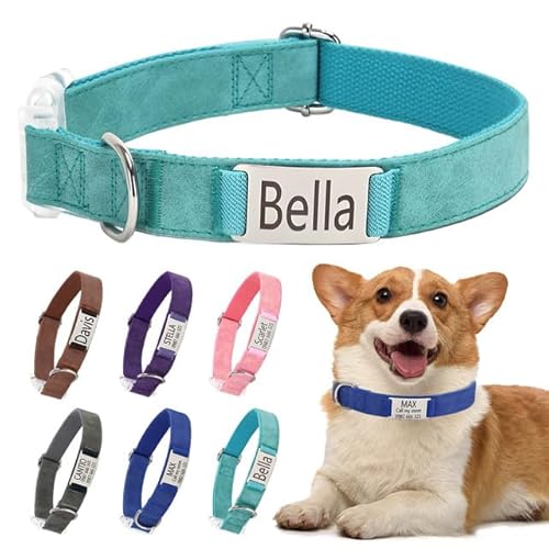 Klassische Hundehalsband Personalisiert Kleine Mittelgroße Große Katzen - Mit Namen Telefonnummer Sichere Dog Collar von Rainsar
