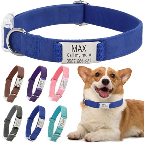 Klassische Hundehalsband Personalisiert Kleine Mittelgroße Große Katzen - Mit Namen Telefonnummer Sichere Dog Collar(Blau,L) von Rainsar