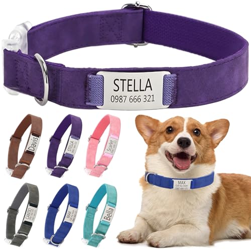 Klassische Hundehalsband Personalisiert Kleine Mittelgroße Große Katzen - Mit Namen Telefonnummer Sichere Dog Collar(Lila,M) von Rainsar