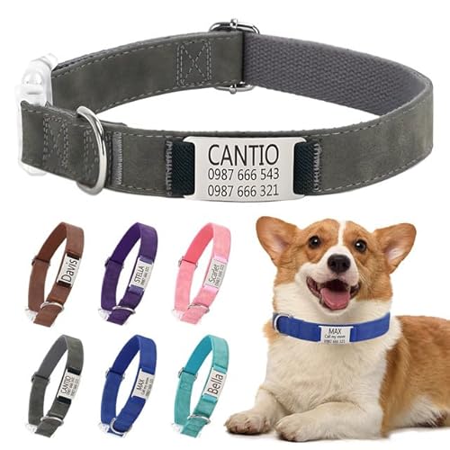 Klassische Hundehalsband Personalisiert Kleine Mittelgroße Große Katzen - Mit Namen Telefonnummer Sichere Dog Collar von Rainsar