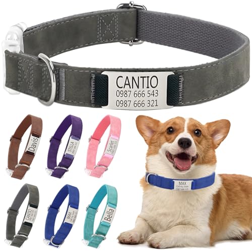 Klassische Hundehalsband Personalisiert Kleine Mittelgroße Große Katzen - Mit Namen Telefonnummer Sichere Dog Collar(Grau,M) von Rainsar