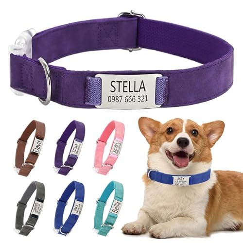 Klassische Hundehalsband Personalisiert Kleine Mittelgroße Große Katzen - Mit Namen Telefonnummer Sichere Dog Collar von Rainsar