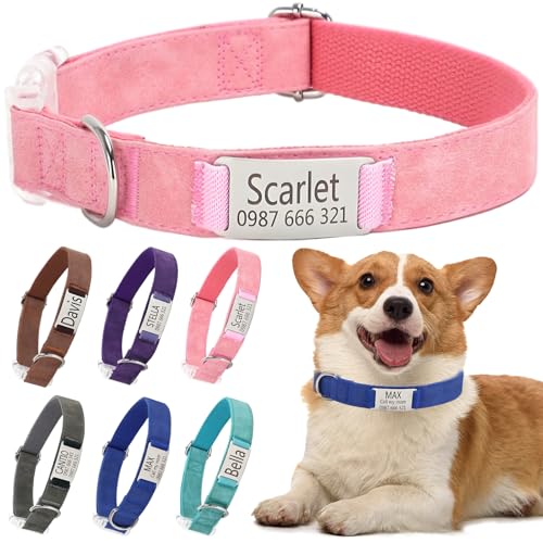 Klassische Hundehalsband Personalisiert Kleine Mittelgroße Große Katzen - Mit Namen Telefonnummer Sichere Dog Collar(Rosa,S) von Rainsar