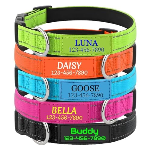 Personalisierte Hundehalsband mit Namen, Silikon ID Hundemarke, Verstellbarer Reflektierend Weich Gepolstertes Komforthalsband aus Nylon, für Kleine, Mittel, Große Hunde von Rainsar