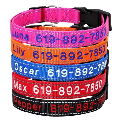 Personalisiertes Hundehalsband mit Namensstickerei & Reflektion | Schnellverschluss | Nylon, XS-XL für Welpen, Kleine, Mittlere und Große Hunde von Rainsar