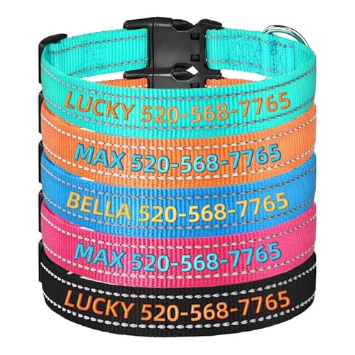 Personalisiertes Hundehalsband mit Namensstickerei & Reflektion | Schnellverschluss | Nylon, XS-XL für Welpen, Kleine, Mittlere und Große Hunde von Rainsar