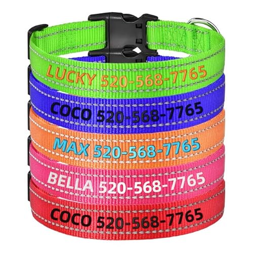 Personalisiertes Hundehalsband mit Namensstickerei & Reflektion | Schnellverschluss | Nylon, XS-XL für Welpen, Kleine, Mittlere und Große Hunde von Rainsar