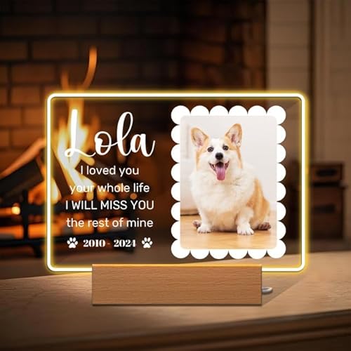 Rainsar Erinnerung Hund Fotogeschenke Personalisierte Gedenktafel mit Licht, Personalisiert Andenken an Verstorbenen Katze - Geschenke für Hundebesitzer Katzenbesitzer von Rainsar