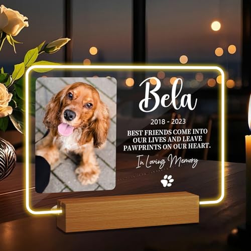Rainsar Erinnerung Hund Fotogeschenke Personalisierte Gedenktafel mit Licht, Personalisiert Andenken an Verstorbenen Katze - Geschenke für Hundebesitzer Katzenbesitzer von Rainsar