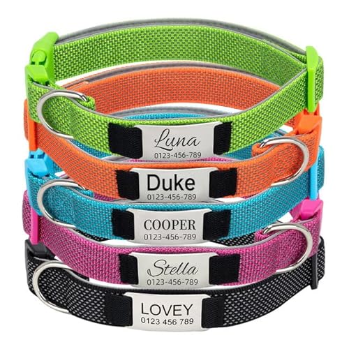 Reflektierend Hundehalsband Personalisiert mit Namen - Hundemarke mit Gravur, Gepolstertes Halsband Hund Verstellbar für Kleine/Mittlere/Große Hunde Reflektierend Hundehalsband Personalisiert mit Namen - Hundemarke mit Gravur, Gepolstertes Halsband Hund Verstellbar für Kleine/Mittlere/Große Hunde von Rainsar