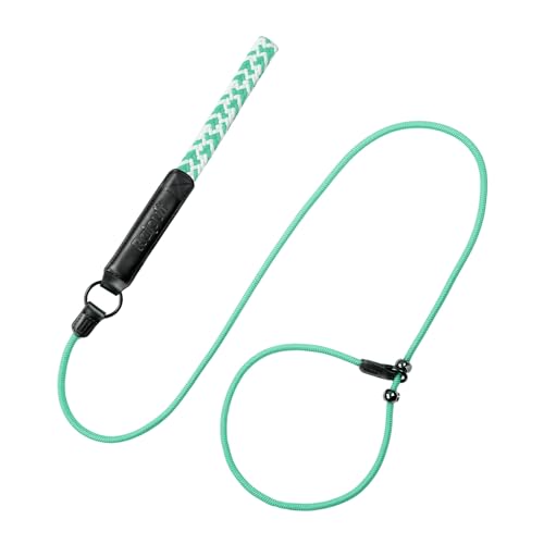 Raipult Retrieverleine für Hunde, 1,8 m, langlebige Retrieverleine mit Metallstopper, starkes geflochtenes Nylon-Seil, Trainingsleine mit bequemem Ledergriff für alle Rassen, Mintgrün von Raipult