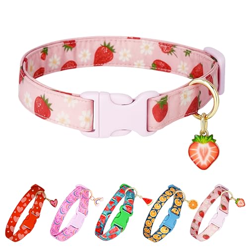 Raisingwell Hundehalsband (Erdbeere, Größe M) von Raisingwell