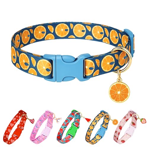 Raisingwell Hundehalsband (Fruit Orange, S) von Raisingwell