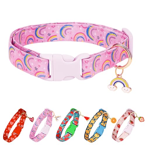 Raisingwell Hundehalsband (Regenbogen, S) von Raisingwell