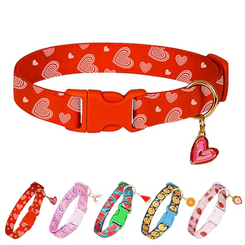 Raisingwell Hundehalsband (Valentinstag, Größe M) von Raisingwell
