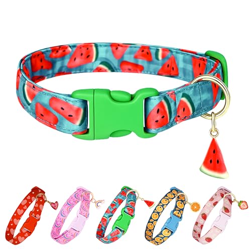Raisingwell Hundehalsband (Wassermelone, S) von Raisingwell